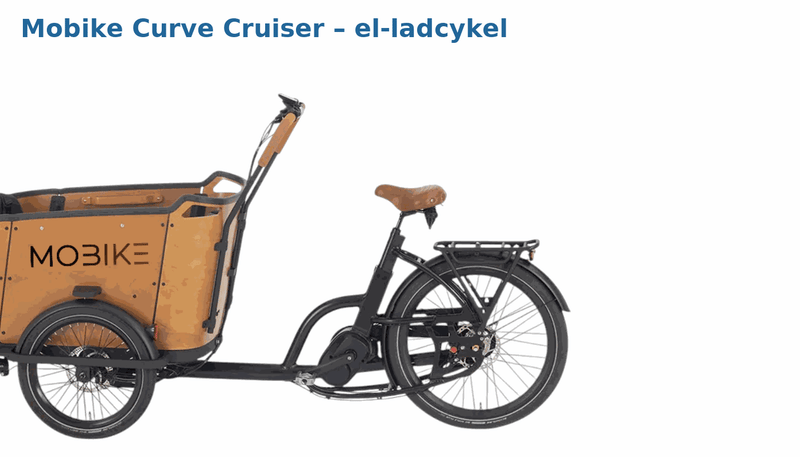Bedste ladcykel i 2025: købsguide, priser & anbefalinger (inkl. el-ladcykler)