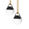 Light 150 (2 pack)