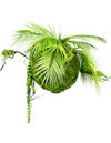 Kokedama have i kunstige planter og mos ø35+ cm - Grøn