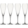 Spiegelau Willsberger Anniversary Champagneglas, 4-pak